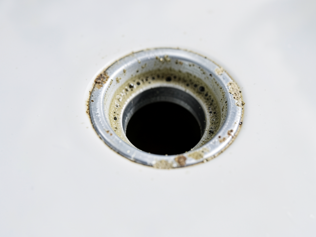 Cleaning out the gunk inside your green tree bathr